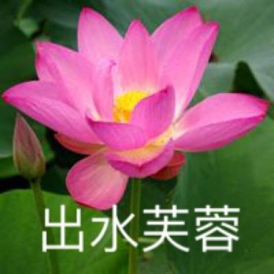 失落的琴弦中文版(暂未上线)v1.0 安卓官方版